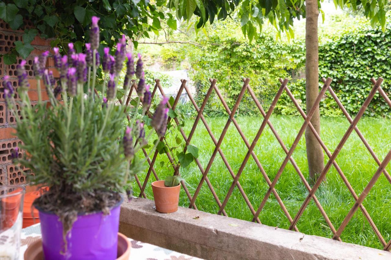 Marylou Gardenhouse Apartment Pisa Exterior photo